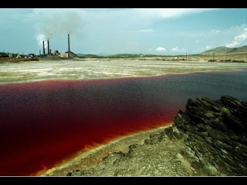 Видео: Озеро Четек чистое?