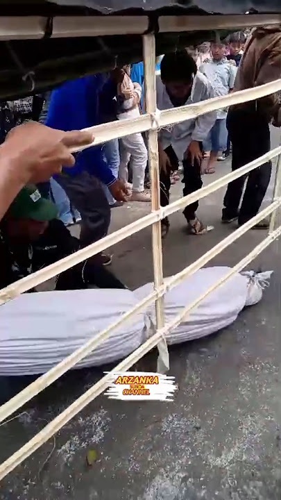 jatuh Dari keranda - Carnaval menyambut HUT RI ke 79 kec Parongpong lembang