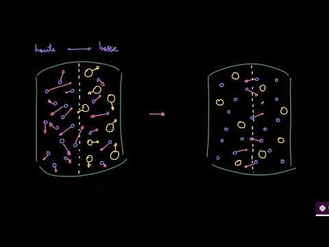 Vidéo: Quand les molécules descendent leur gradient de concentration ?