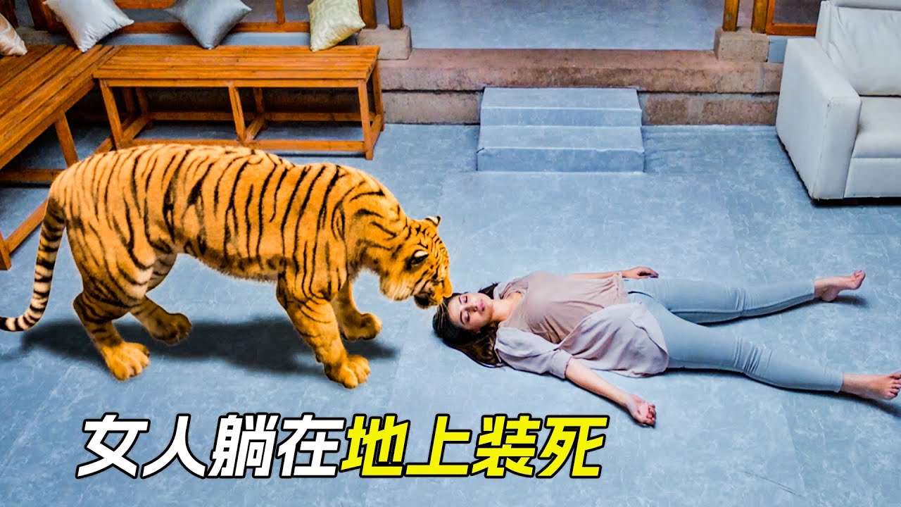 老虎闖進家裡，女人躺在地上裝死才逃過一劫，科幻，奇幻，電影，解說，獵奇，冒險，老虎