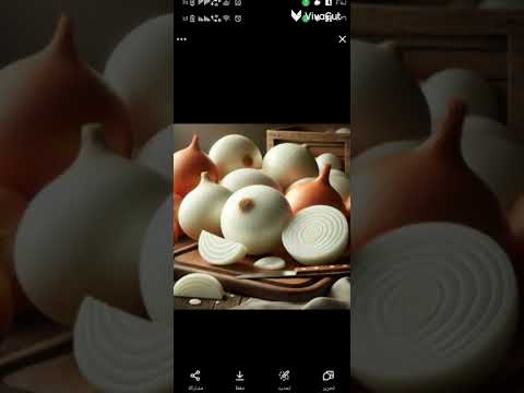 كل ده يطلع منك يا بصل فوائد عظيمه للبصل والفرق بين البصل الاحمر والابيض وصفات سريعة فوائد اكسبلور