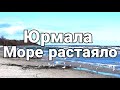 Латвия. Кот, море и немного актуальных новостей