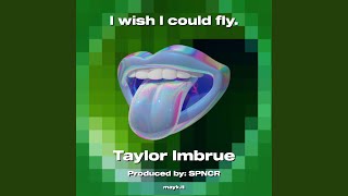 I wish I could fly.
