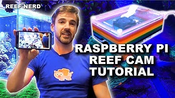 Tutorial - Raspberry Pi Based Reef Cam - UV4l and WebRTC