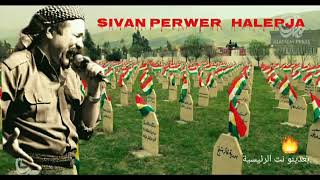 اغنيه شفان برور حلبجه