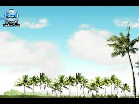 ربي فالق النوى انتاج ينابيع الحياة 