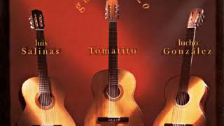 Lucho González, Luis Salinas - El Día Antes chords