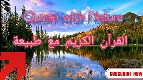 surat Al An'am ❗❗سورة الأنعام the voice of ❗❗Wadee Al Yamani   صوت وديع اليمني