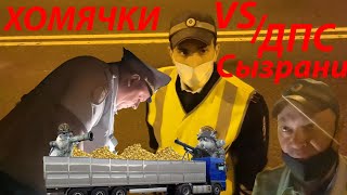 картинка: Хомячки VS ДПС Сызрани