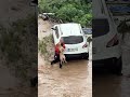 Firefighters and residents rescue stray dogs trapped in floodwaters in Türkiye