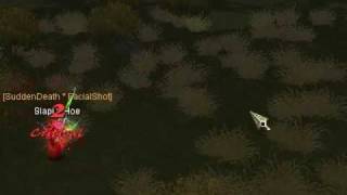 Silkroad Slapdahoes Cerb Kill