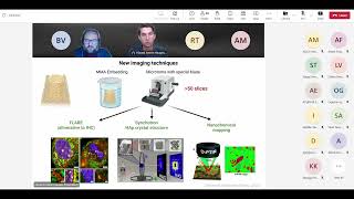 NanoBioMat 2024 winter edition