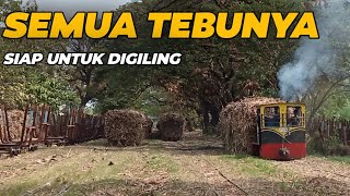 LORINYA BLUSUKAN!!! AKTIVITAS SIANG HARI PABRIK GULA SOEDHONO,NGAWI SAAT MUSIM GILING 2024