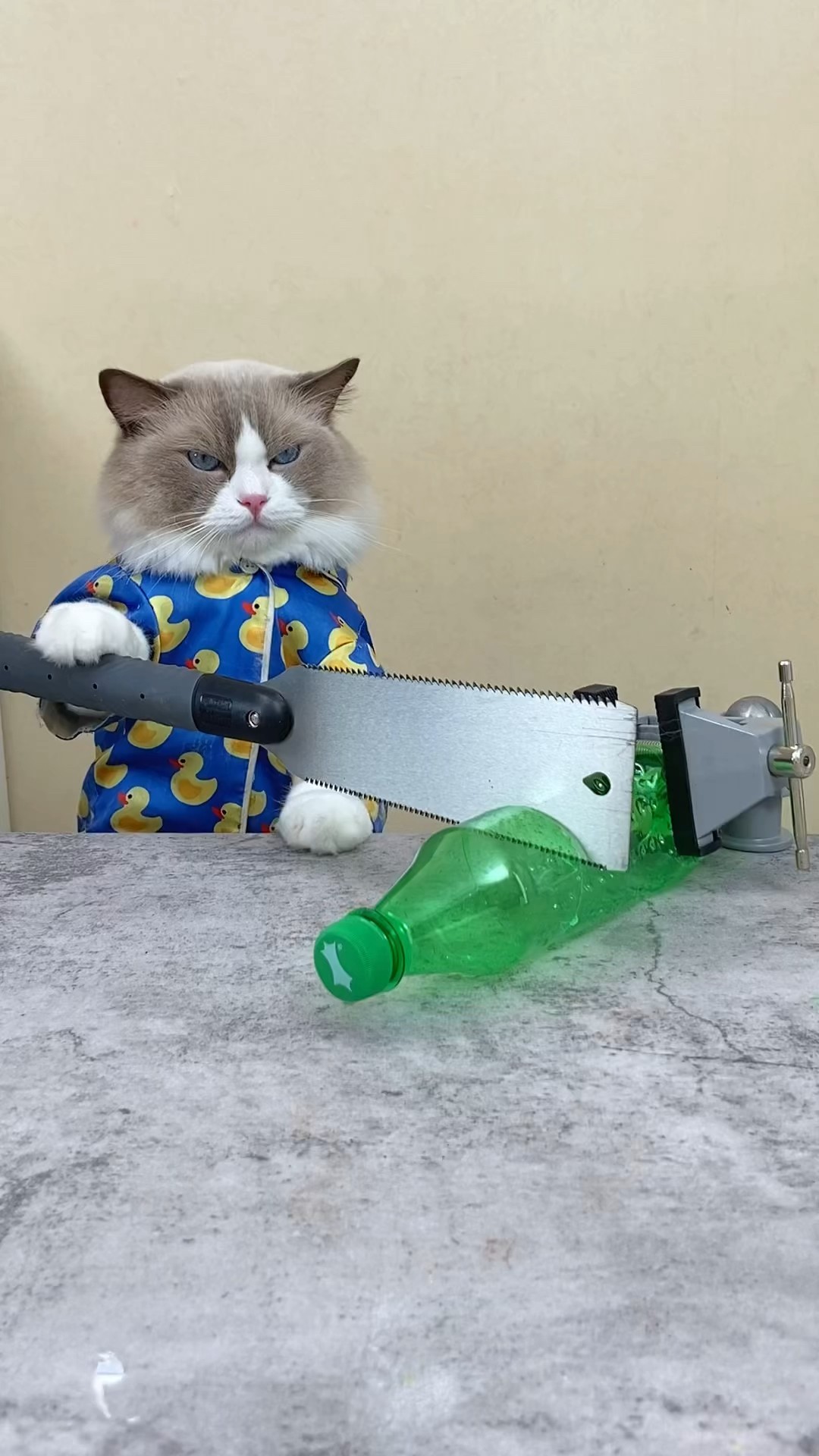 ?✨ Puff’s water bottle craft hacks! #DIYWithPuff #EcoFriendly​⬤ #ThatLittlePuff