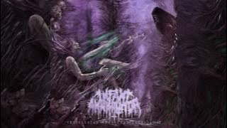 Download lagu Infant Annihilator - Behold the Kingdom of the Wretched Undying (lyric video)