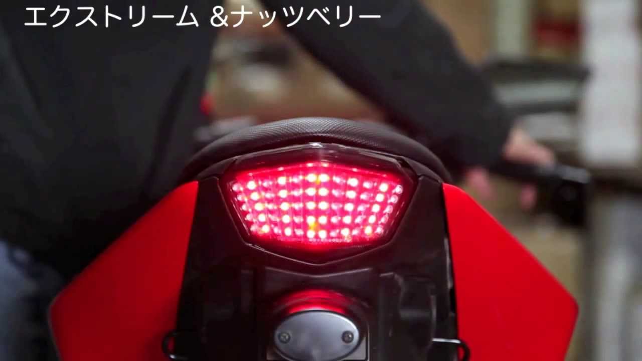 Ninja250R EX250K (08-12) LEDテールランプ ユニット LEDウインカー