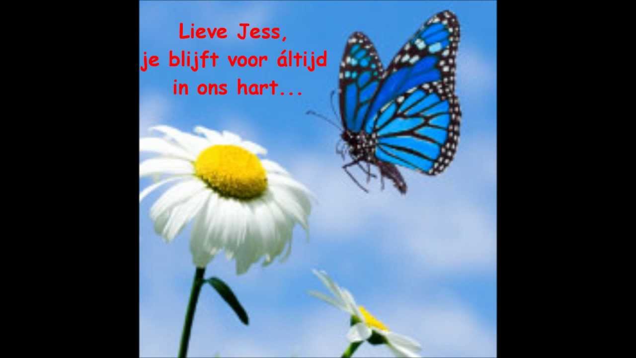 Lieve jess, je blijft voor altijd in ons hart. - YouTube