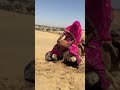 عروس تبرد نفسها بوعاء خلف جمل