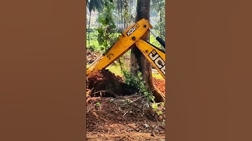 JCB vs BIG TREE | JCB uprooting a big tree within 30 seconds #JCB #power