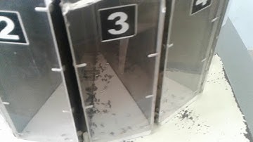 Needle Roller Sorting Machine