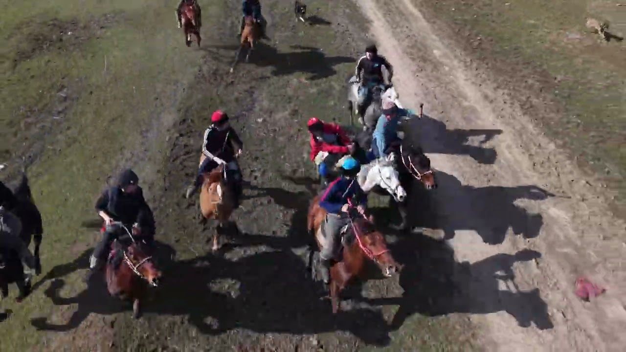 21.02.2025ж Қазығұрт ауданы Қақпақ ауылы 1996-жылғы азаматтардың 10 жылдық көкпар тойы