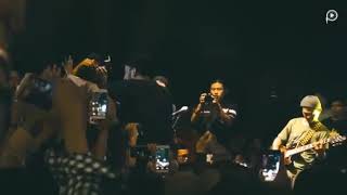 The paps sementara( bandar lampung)