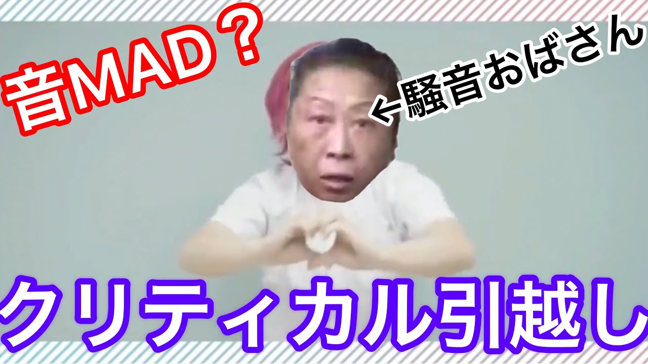 【騒音おばさん】クリティカル引越し【音MAD】【引越しおばさん】【Everybody】 …