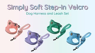 Puppy Walk | BELLA & PAL Simply Soft Step-in Velcro Dog Harness and Leash Set | How To Wear screenshot 2