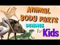 Animal Body Parts and Their Functions Quiz