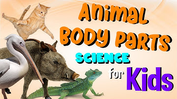 Animal Body Parts | Science for Kids
