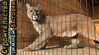 БОЛЬШИЕ КОШКИ В ПАНИКЕ. Начало строительства зимней бытовки БОЛЬШИЕ КОШКИ В ПАНИКЕ. Начало строительства зимней бытовки