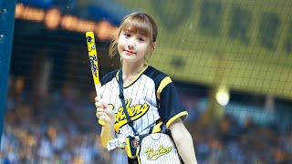 230610中信兄弟 阪神甲子園球場日 Passion Sisters畇二應援(詹子賢   強攻不要停  我的兄弟   張志豪   陳子豪)
