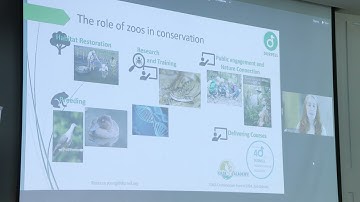 ECF24 5 June / Empowering conservation:  Introduction to Conservation Standards-online presentation