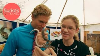 Burke's Backyard, Snake School