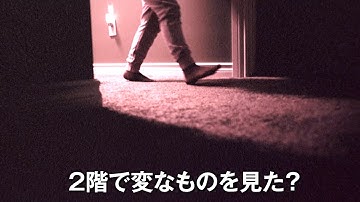 北米を慄然させた“異例の大ヒット作”がついに日本上陸。映画『SKINAMARINK／スキナマリンク』予告編