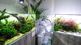 FANTASTIC FOUR   LOW vs HIGH TECH AQUASCAPES