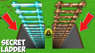 Which BIGGEST LADDER TO CHOOSE DIAMOND VS DIRT in Minecraft  NEW SECRET PASSAGE !