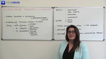 Jak je Dánská ekonomika vyspělá?