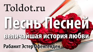 Еврей — соучастник Творения. Мудрость царя Соломона от рабанит Эстер Офенгенден, Шир аШирим 19