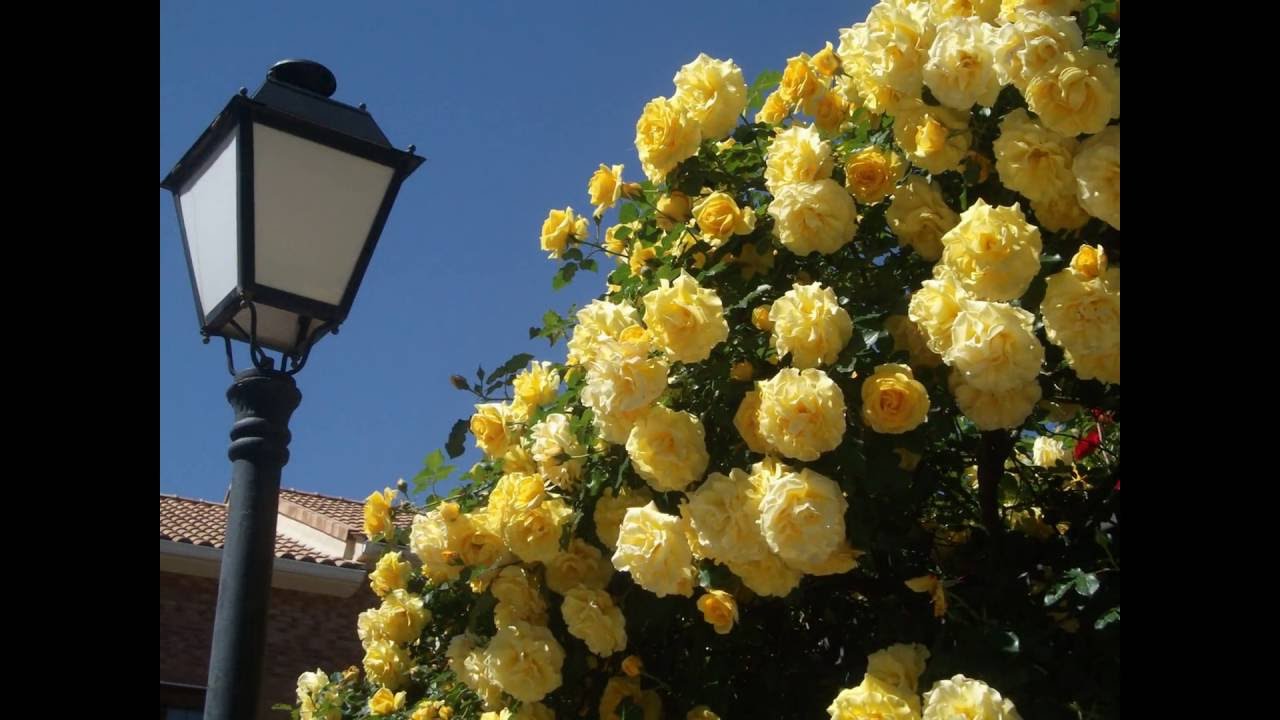 Spanish gardens - YouTube