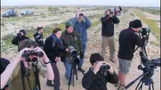 Champions of the Flyway Bird Race - Israel