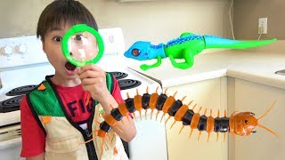 Pest buster Lizard centipede snake ? catch it 害虫バスター ムカデ? ヘビ? トカゲ? 捕まえられるかな？ おゆうぎ こうくんねみちゃん