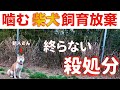 【噛む柴犬飼育放棄】ペットショップ・繁殖・ドッグショーを規制強化しなければ殺処分の終りはない！