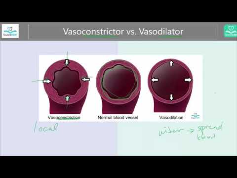 Video: Skillnaden Mellan Vasokonstriktion Och Vasodilatation
