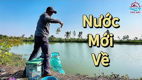 Câu cá tự nhiên  Chia sẻ kinh nghiệm câu cá diếc ngày nước mới về.