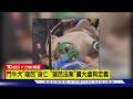【CNN精選】澳洲狗狗奇幻漂流 被大浪吞噬後登島存活｜TVBS新聞 @TVBSNEWS01