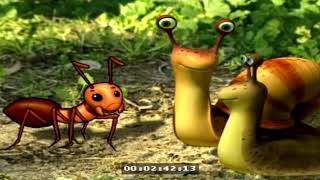 Mr Snail Snails Missing Shell