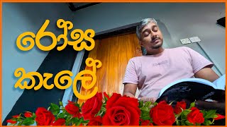 රෝස කැලේ | Rosa Kale | Bushi 2025