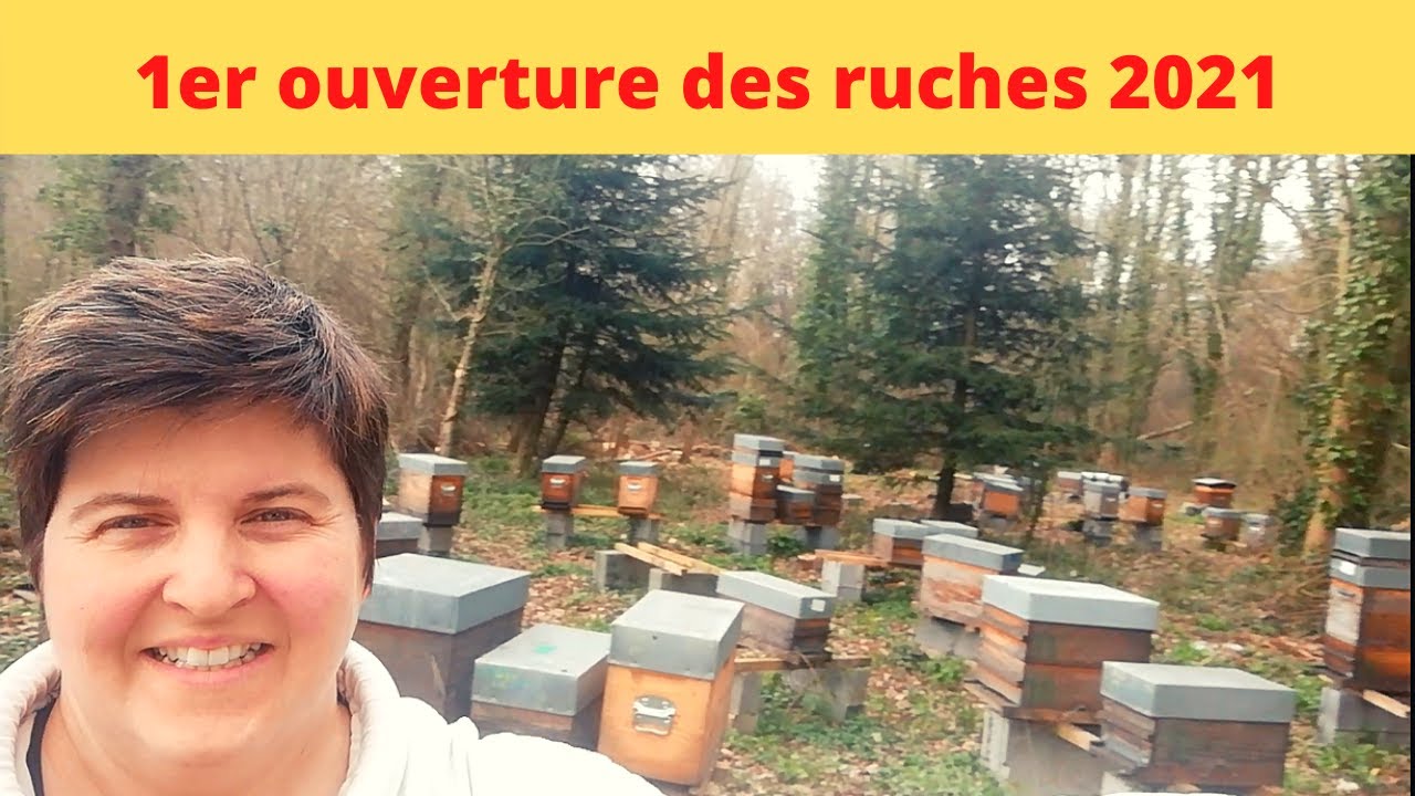 première visite des ruches 2021