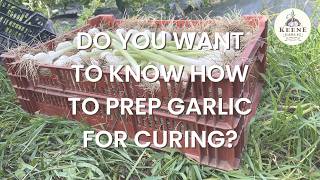 How & Why to Peel the Lowest Green Leaf on Garlic 🧄
